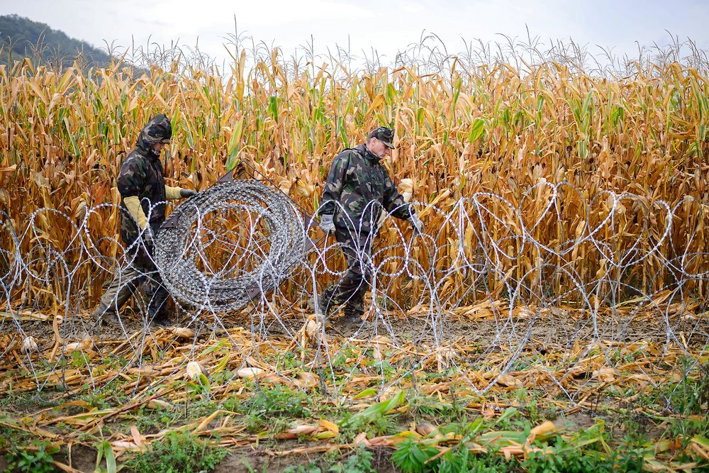 TOPSHOTS Hungarian soldiers are setting up a barbwire fence on the Slovenian-Hungarian border in Pince, Slovenia on September 25, 2015. Hungarian police said a record 10, 046 migrants arrived on September 23 from Croatia, and Budapest announced it would decide "soon" whether to also shut that border. It has already laid a razor-wire barrier along 40 kilometres (25 miles) of the frontier with Croatia not marked by the Drava river, and on September 24 Slovenia's foreign ministry said Hungary had also begun building a barrier on its border - - the first within the European Union's passport-free Schengen zone. AFP PHOTO / Jure Makovec