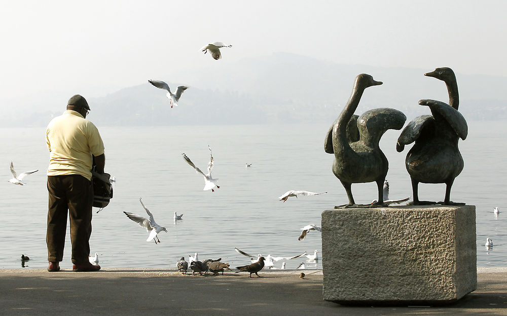 A man feeds birds on the banks of Lake Zug during sunny autumn weather in the central Swiss town of Zug September 27, 2011.REUTERS/Arnd Wiegmann (SWITZERLAND - Tags: ENVIRONMENT)