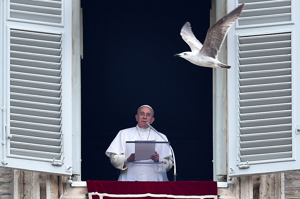 TOPSHOTS A seagull flies near the window of Pope Francis as he addresses the crowd from the apostolic palace overlooking St.Peter's square during his Sunday Angelus prayer on January 11, 2015 at the Vatican. AFP PHOTO / GIUSEPPE CACACE